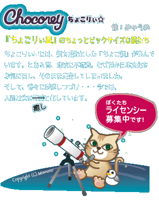chocoreyストーリー